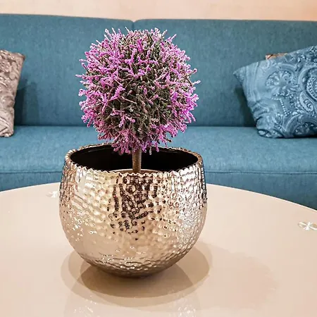 Liana Hrebienok C107 *