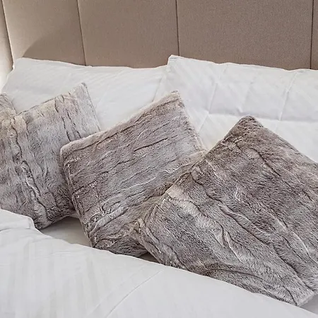 Liana Hrebienok C107 Vysoke Tatry