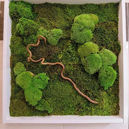 Liana Hrebienok C107 Apartmán *