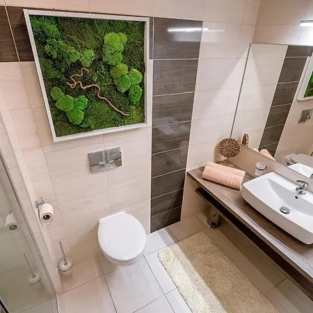 Liana Hrebienok C107 Vysoke Tatry